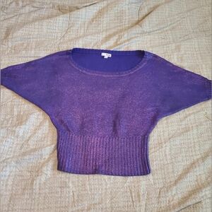 Gorgeous Bongo M Stretch Metallic Purple Dolman Sleeve Round Neck Blouse Top